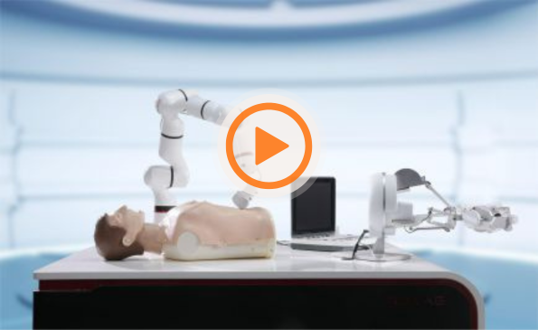 Remote Ultrasonic Diagnosis Robot 